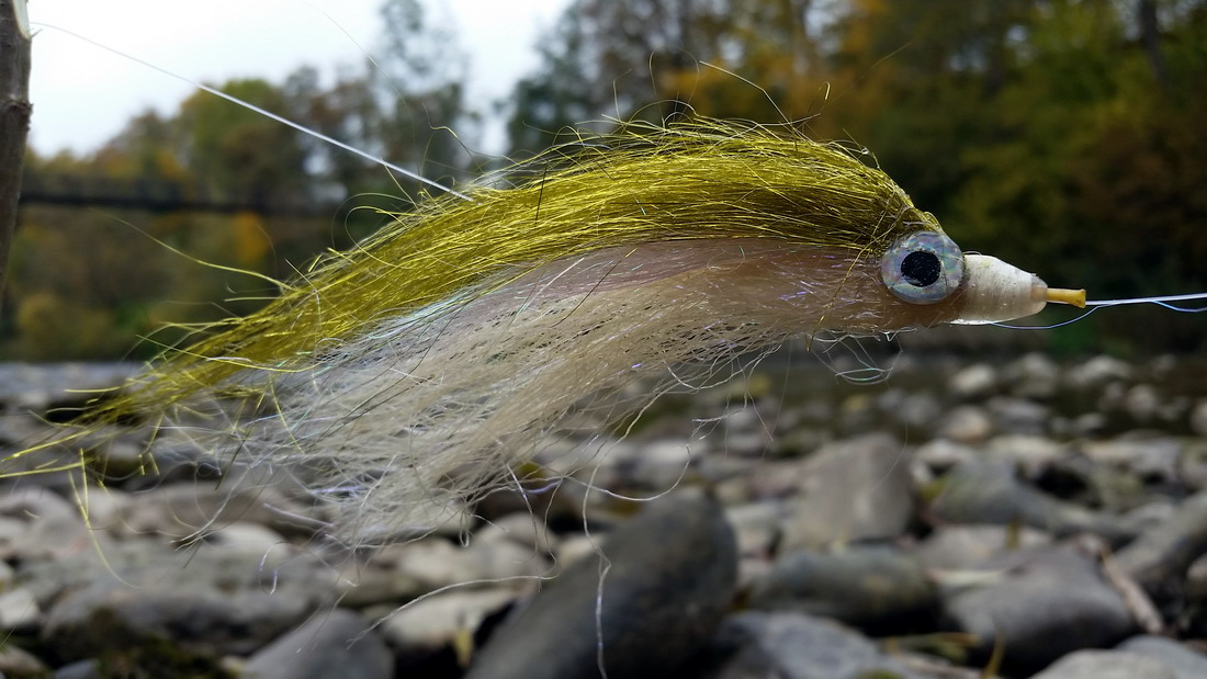 Hucho mosca de pesca 15cm (5,9 inch)