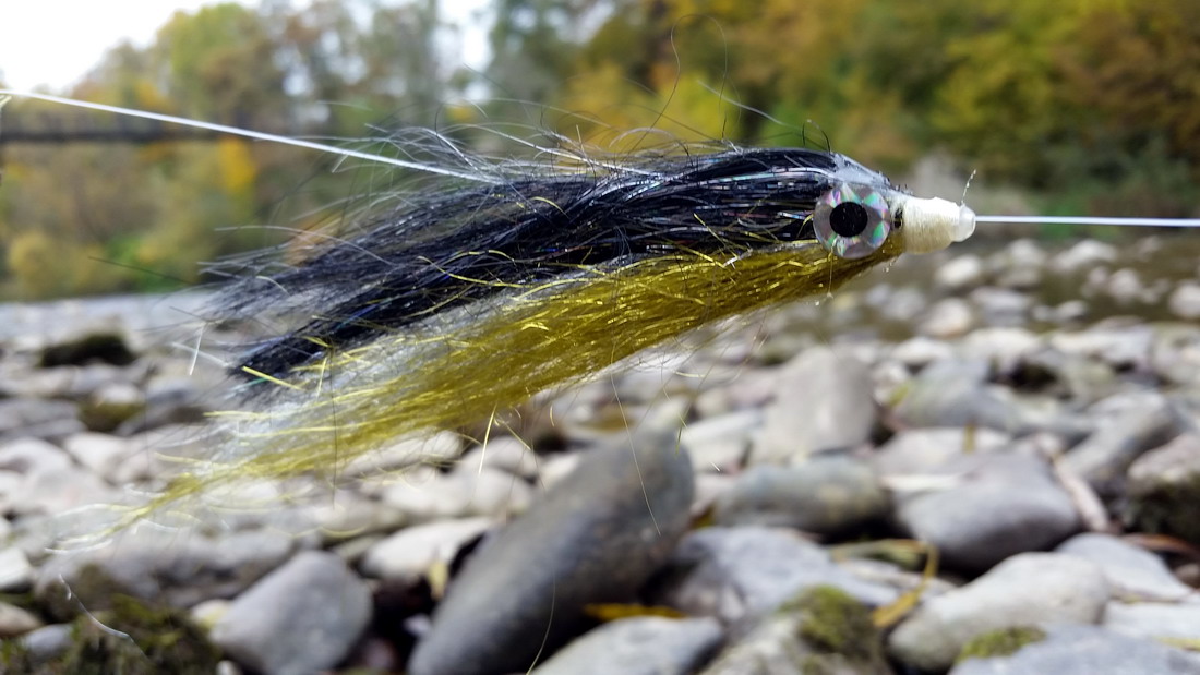 huchen-tube-fly-minnow
